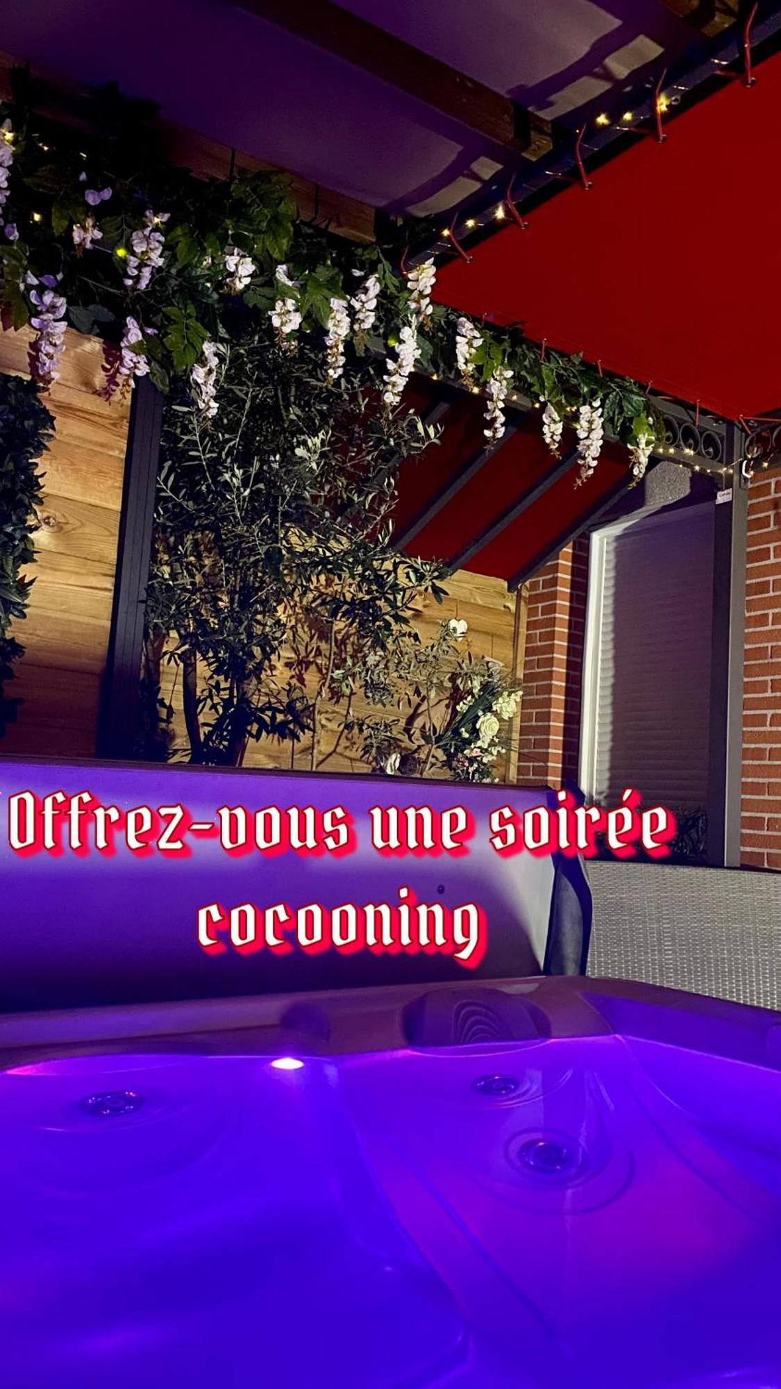 Un Petit Coin De Paradis Toulouse Eksteriør bilde